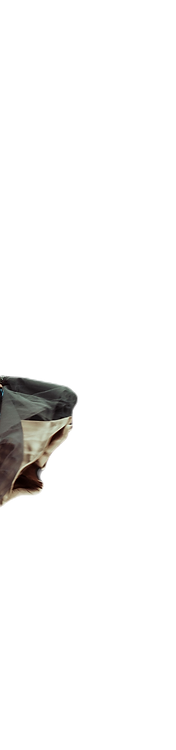 DSC_8079_04_edited.png