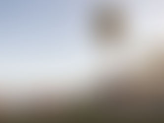 A Wedding at Oceanview Room