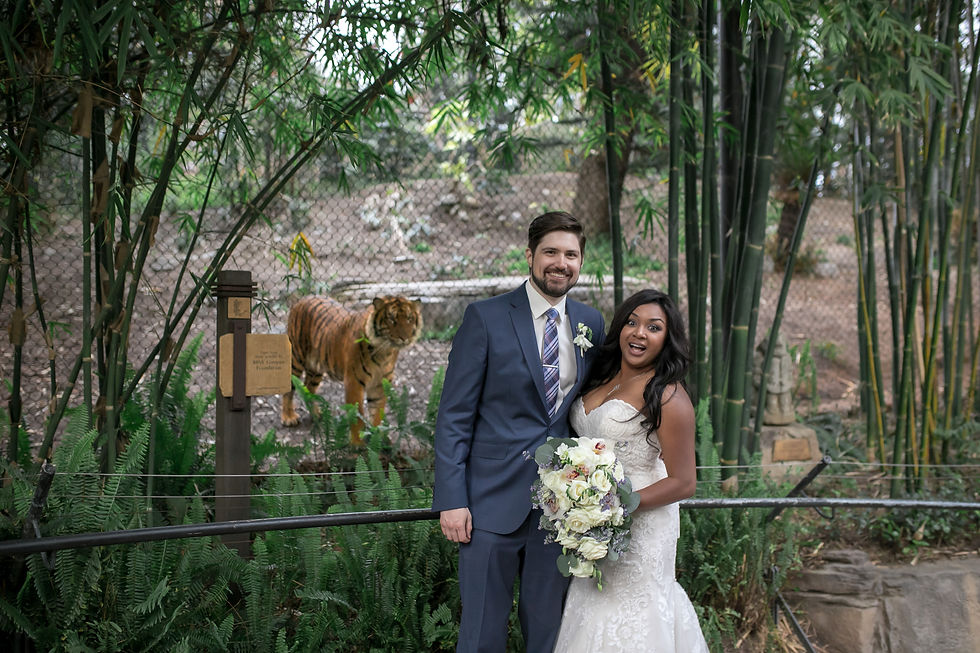 Tiger Trail San Diego Safari park Wedding Zoo