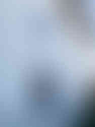 Replace high impact windows for hurricane season in florida