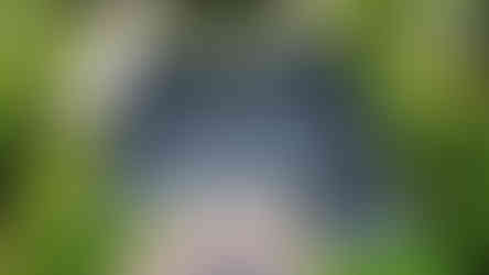 Soluciones de Techos Metálicos para Hogares en Florida - Obtén un Presupuesto Gratuito