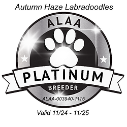 Autumn Haze ALAA platinum paw 2024.png