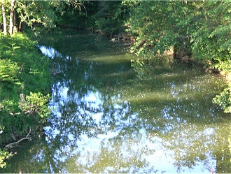 Fiume_ambra1-min.jpg
