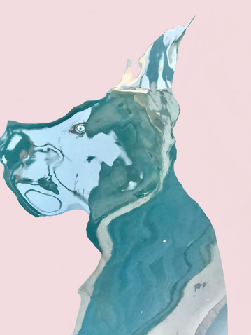 E3E00832-94A5-4A55-B969-EBFFBE71E0FF.png