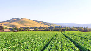 This Agricultural California City is Ranked the 7th Most Expensive U.S. City to Live in