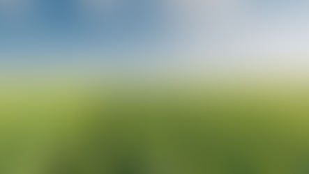 U.S. Allows Farmers to Use Existing Supplies of Dicamba Weedkillers After Previous Ruling