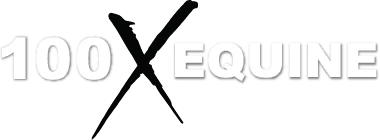 100x-logo.png.webp
