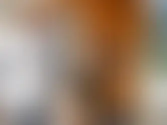 Ação de despejo não precisa de todos os proprietários do imóvel no polo ativo