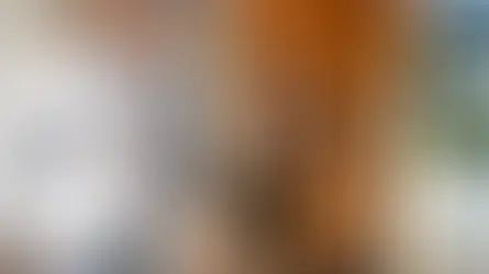 Ação de despejo não precisa de todos os proprietários do imóvel no polo ativo