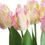 Thumbnail: Pink & Green Tulip