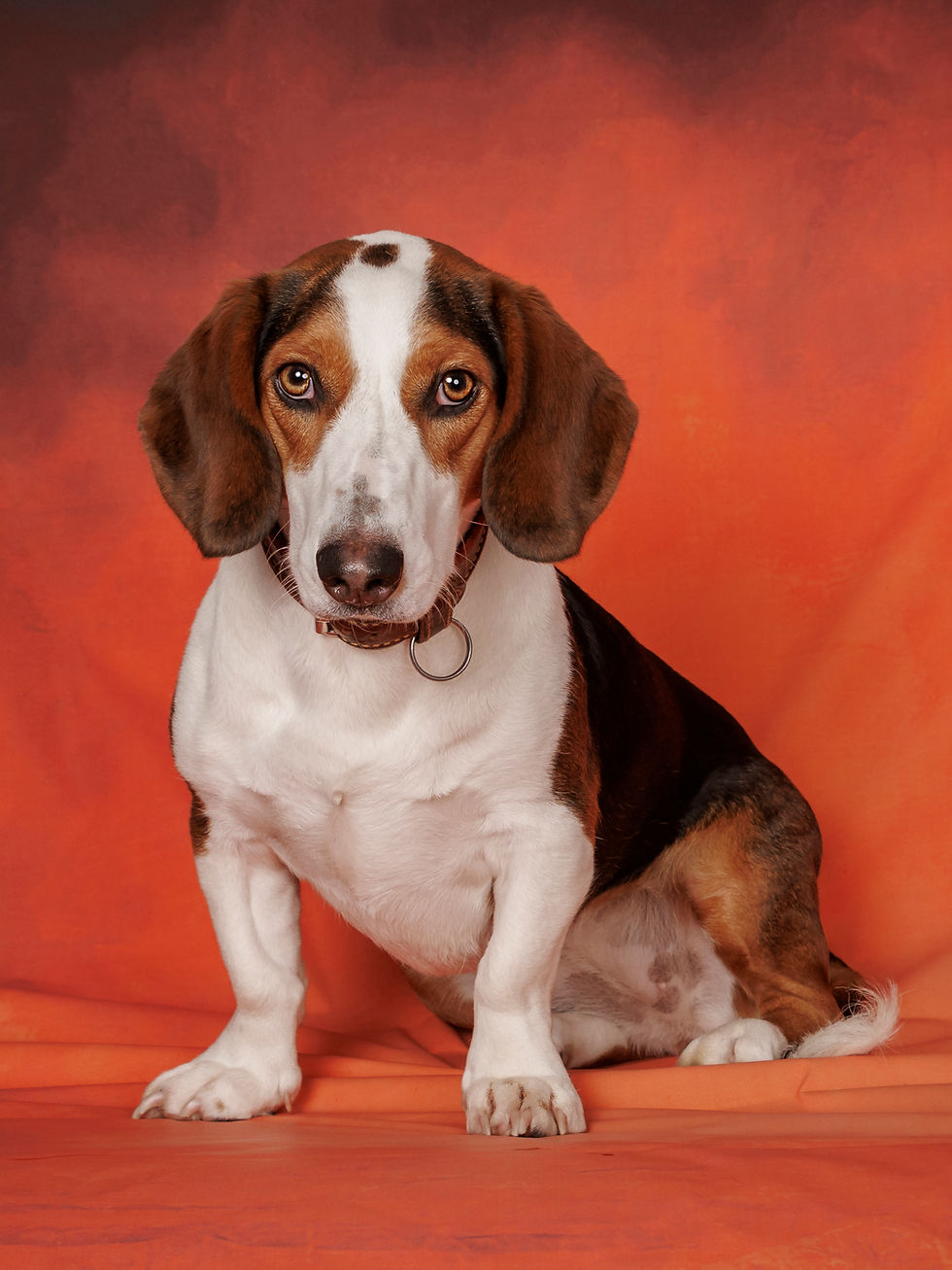 Artist Talk Susanne Niederberger