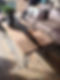 122141281_1052883965130848_8924695825760