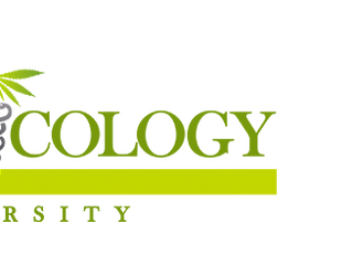 ¡Nuestra misión sigue en pie! Tú no te puedes quedar atrás...