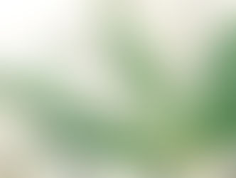 An Industry of Endless Opportunities