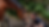 download (1).png