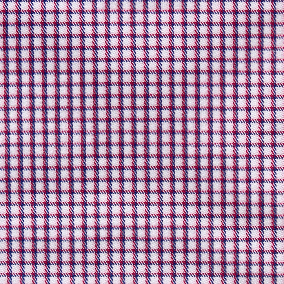 Thumbnail: RED AND NAVY GINGHAM