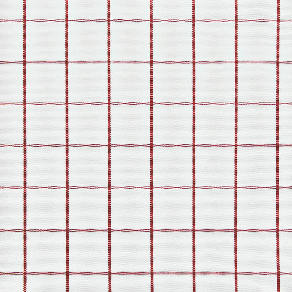 Thumbnail: RED GRID CHECK