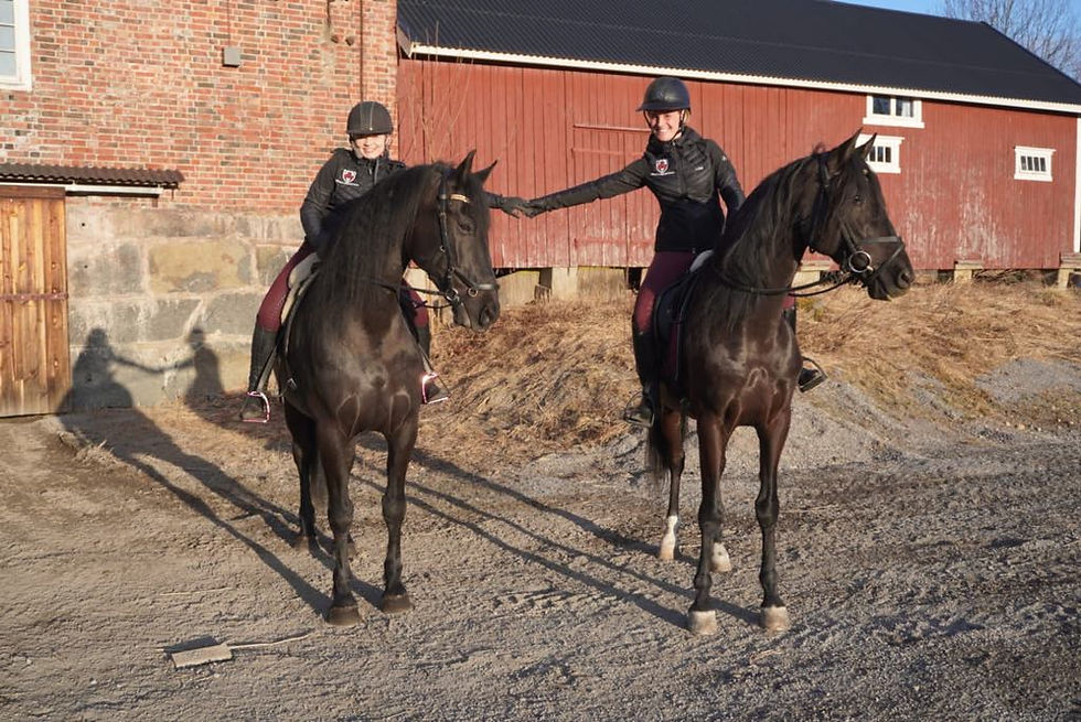 Boleyn Equestrian - Back to Basic Rideskole åpner dørene 22. april