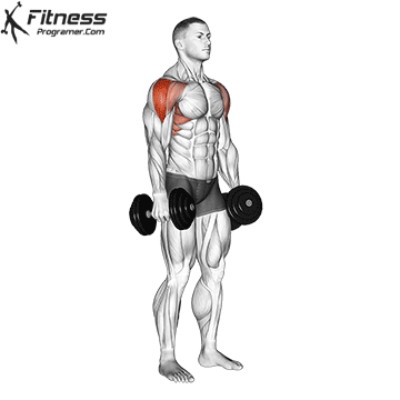 Dumbbell-Lateral-Raise (1).gif