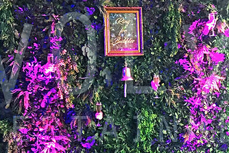 Bildschirmfoto 2024-08-25 um 12_edited_e