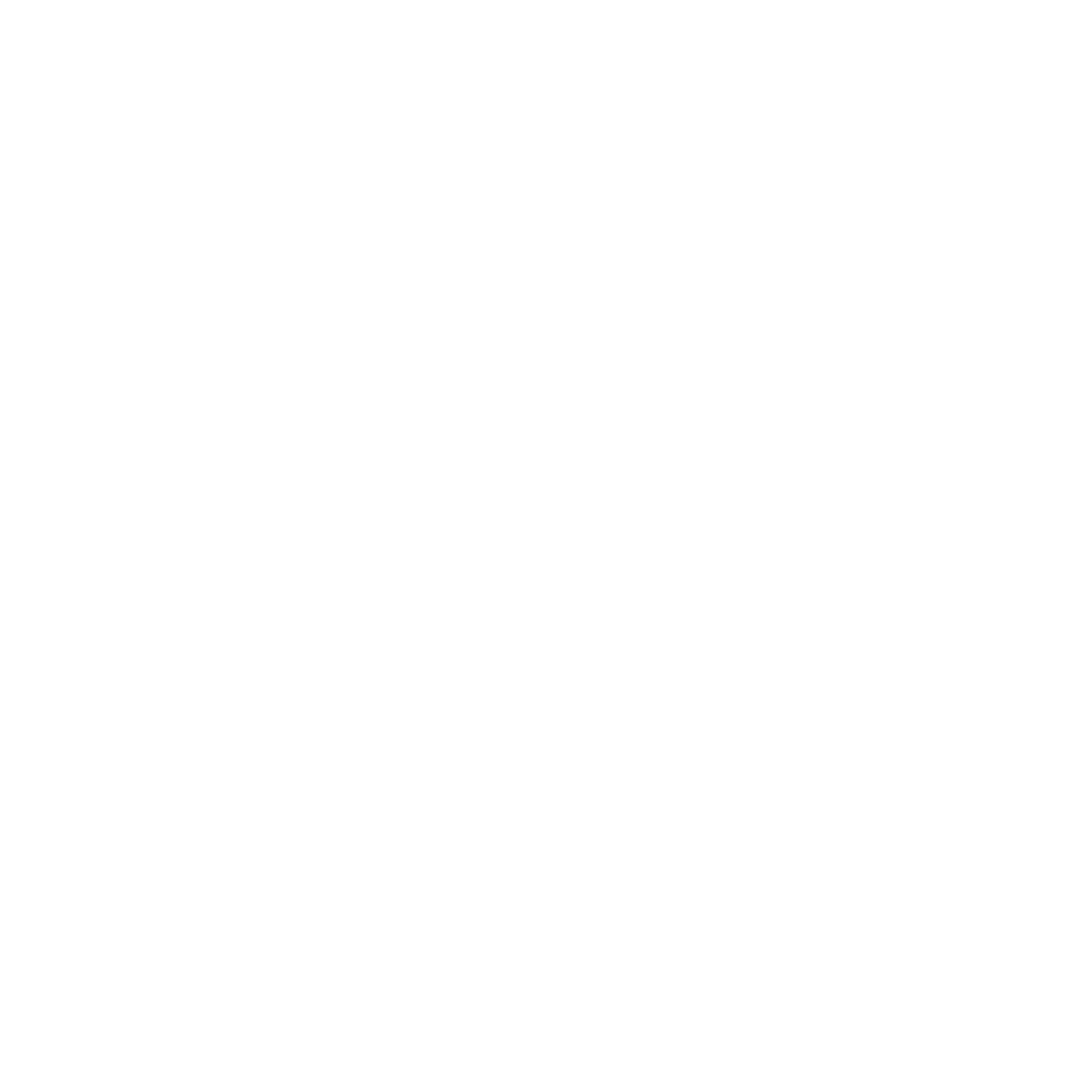 Pearl Point Wordmark (2).png