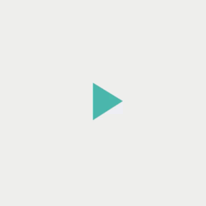 scn1.gif