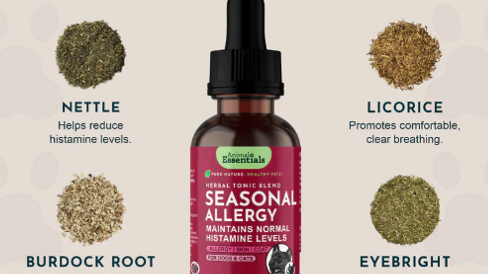 Allergy natural solutions for dogs and cats