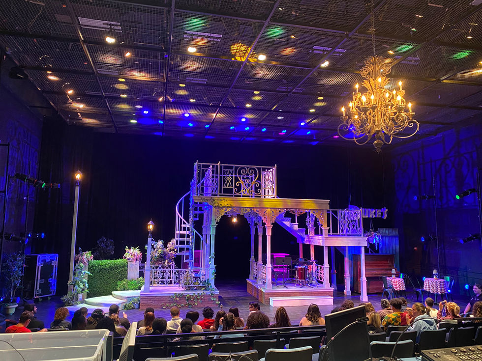 Twelfth Night Student Preview