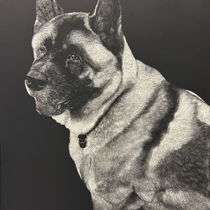 Thunder Scratchboard Portrait
