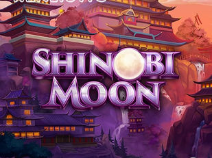 Shinobi Moon Realistic Games newest Slot Review