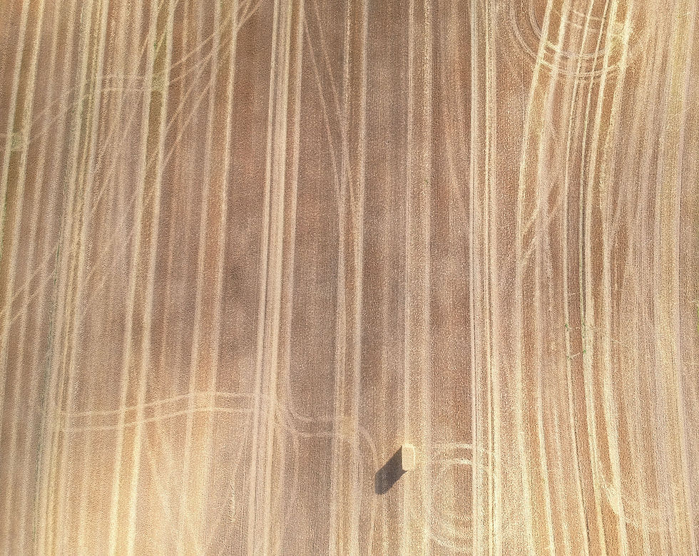Aerial View Field