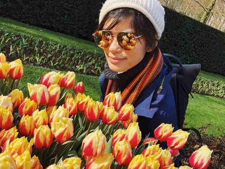 Experiencing Netherlands in Spring: Tulips, Windmills, and More