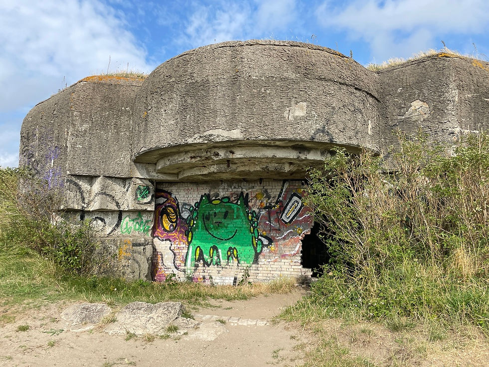 Artillery bunkers of Coastal Battery Heerenduin