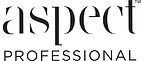Aspect Professional Logo