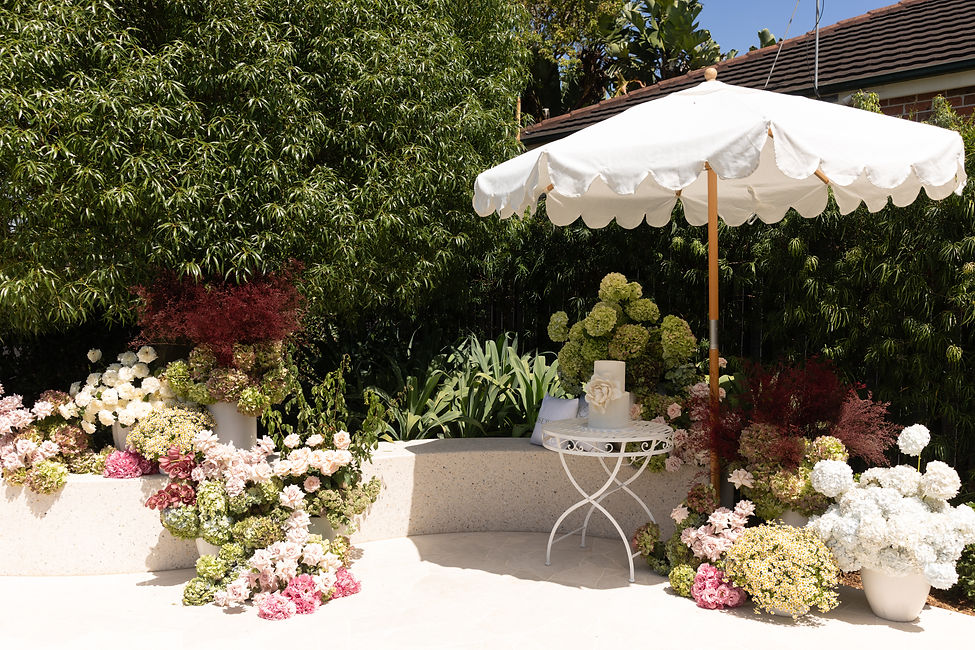 PORTFOLIO COVER PHOTO.jpg