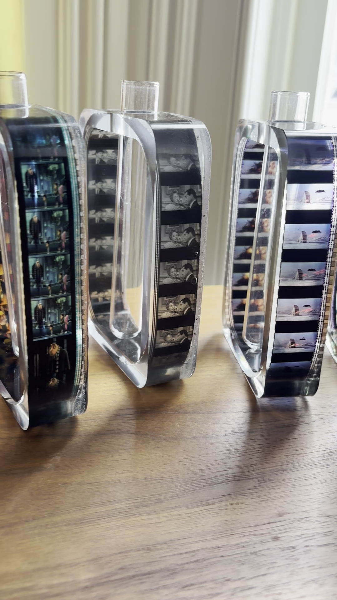 35mm Film Plant Propagation Holder