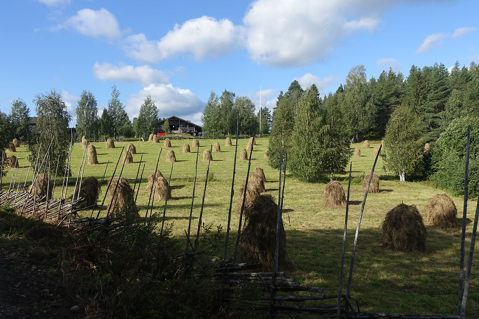Heuernte in Finnland - Omavaraniemi