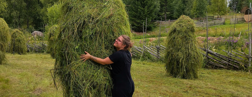 Workaway auf Omavaraniemi