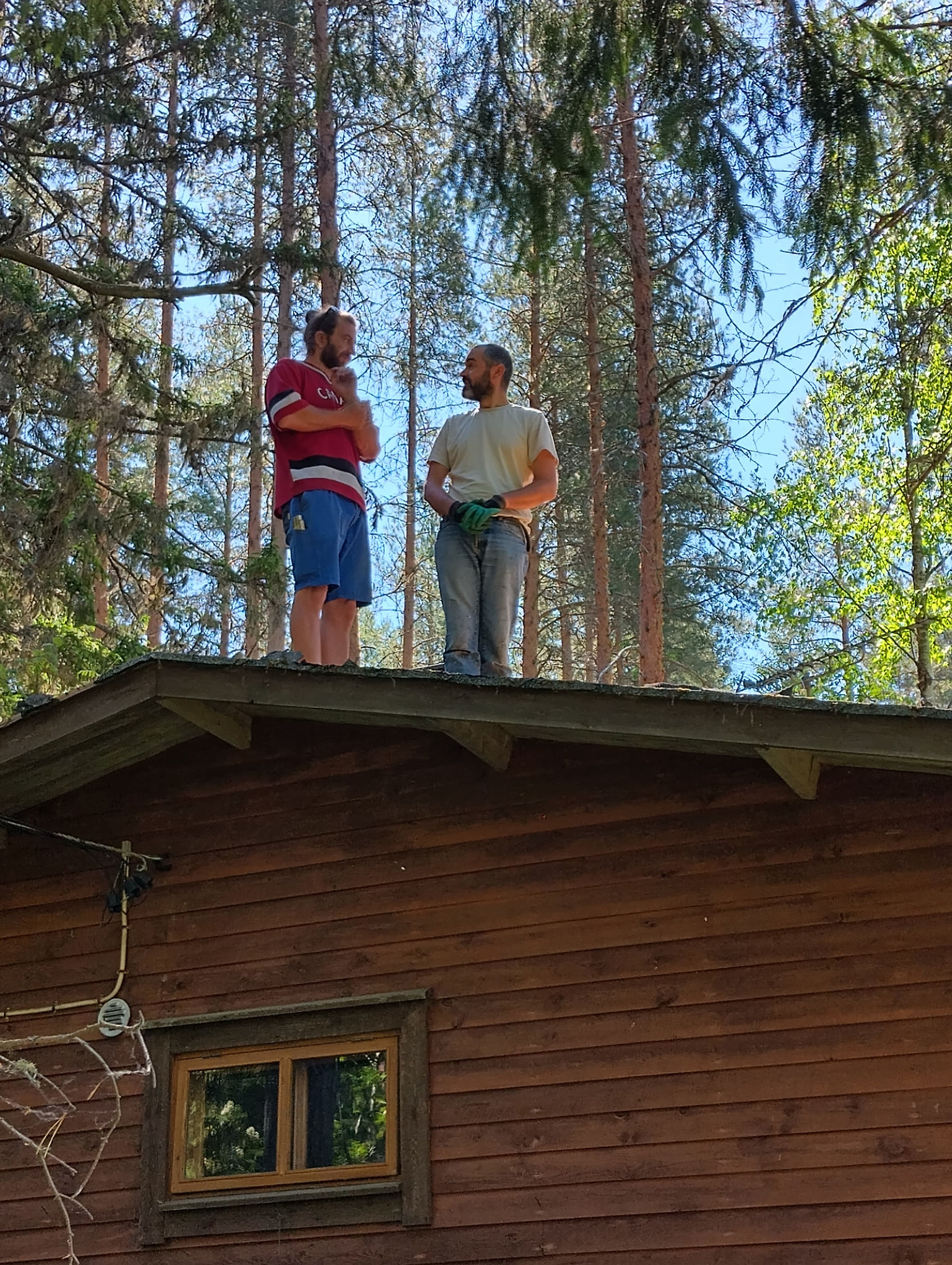Workaway auf Omavaraniemi