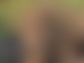 Kartoffeln in Finnland - Omavaraniemi