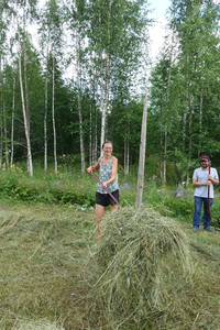 Heuernte in Finnland - Omavaraniemi