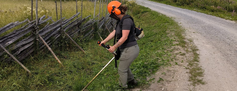 Workaway auf Omavaraniemi