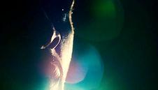 Boydy Showreel v4 40secs_00001619.JPG