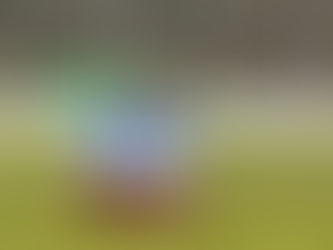 Heinitz-News: Artikel Nr. 6