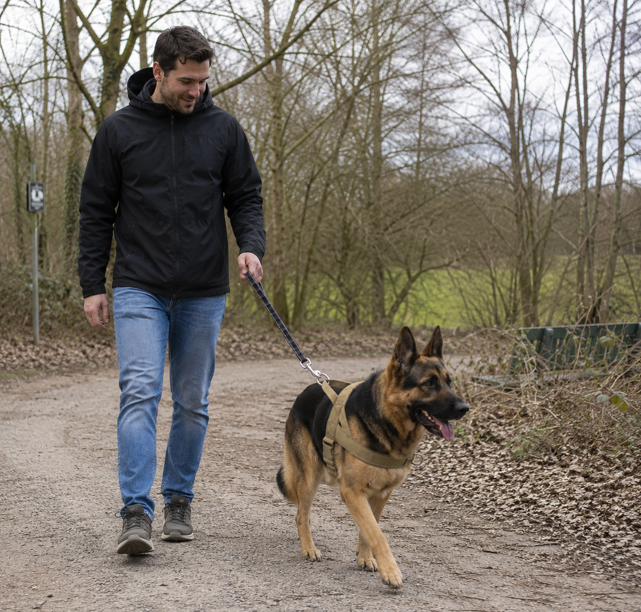 HundeGeschirr
