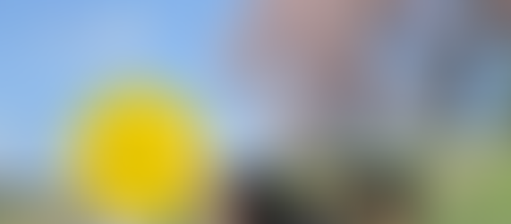 2026.4 幸ちゃん家 新年度が始まりました🌸