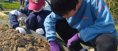 2026.4 よっちゃんち ジャガイモ植えとお米の種まき