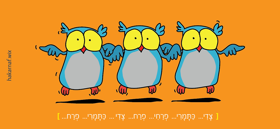 תמונה ממוזערת: חולצת ינשופים "צדי כתמרי" ברוחב 28 ס"מ