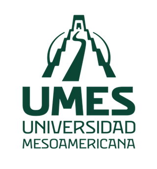 Variaciones de Logotipo_Mesa de trabajo 1.png