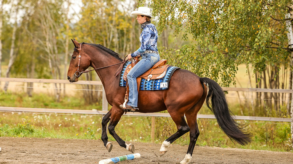 Lenas hästservice lena rider på häst